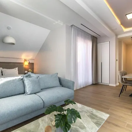 Mohost Alex Apartment Brasov